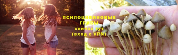 гашиш Гусев