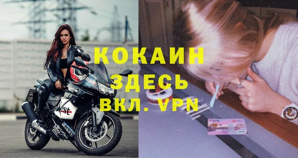 гашик Гусь-Хрустальный