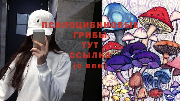 ALPHA-PVP Гусиноозёрск